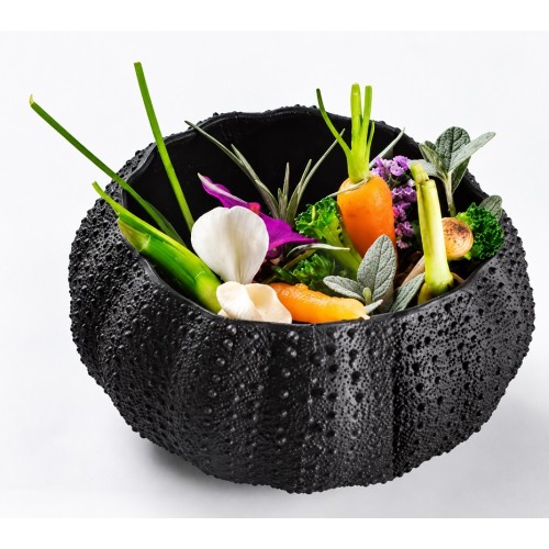 Блюдо для подачи Sea Urchin Mat Black 12х7см Pordamsa Mediterranean Textures