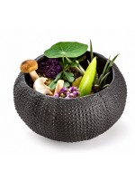 Блюдо для подачи Sea Urchin Mat Black 8см 30мл Pordamsa Mediterranean Textures