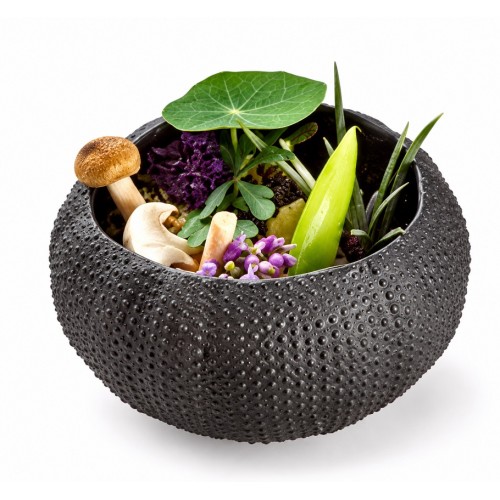 Блюдо для подачи Sea Urchin Mat Black 8см 30мл Pordamsa Mediterranean Textures