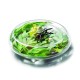 Blown Glass