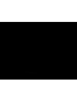 Кофейная пара 110мл Gourmet Vista Alegre