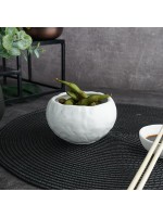 Cалатник 250 мл, d=10 см,серия 