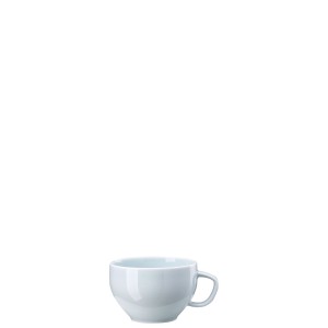 Чашка чайная 240мл фарфор Rosenthal серия Junto Opal Green