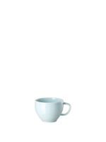 Чашка чайная 280мл фарфор Rosenthal серия Junto Opal Green