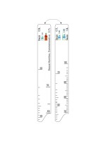 Барная линейка Sauza (500мл/700мл/1л) / Hornitos (700мл), P.L. Proff Cuisine