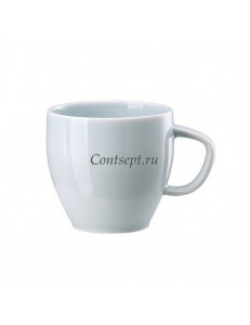 Чашка для чая 230мл фарфор Rosenthal серия Junto Opal Green