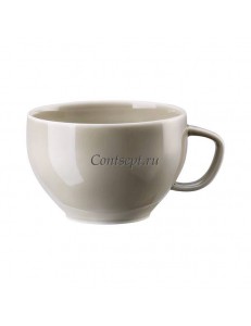 Чашка для чая 240мл фарфор Rosenthal серия Junto Pearl Grey