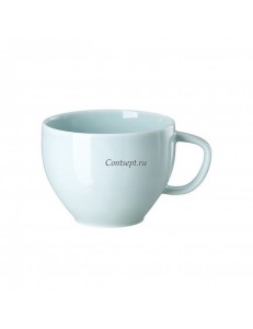 Чашка для чая 280мл фарфор Rosenthal серия Junto Opal Green