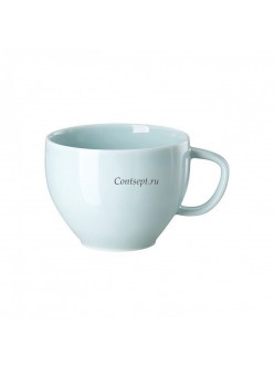 Чашка для чая 280мл фарфор Rosenthal серия Junto Opal Green