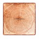 Тарелка квадратная 30х30см красно-коричневая фарфор RAK серия Woodart