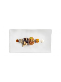 Тарелка прямоугольная 25х14см матовый фарфор PORDAMSA серия Gastro